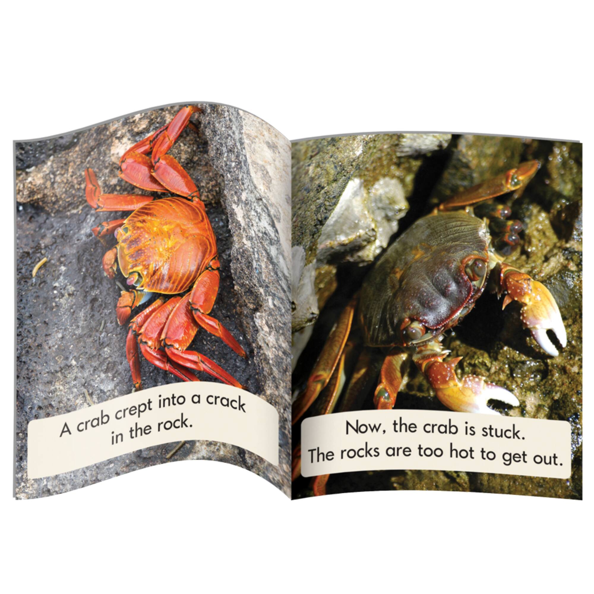 Junior Learning® Blend Readers Non-Fiction Learning Set